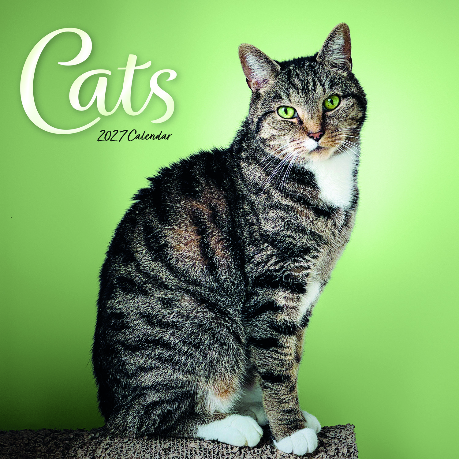 2027 seinakalender Cats Wiro Wall