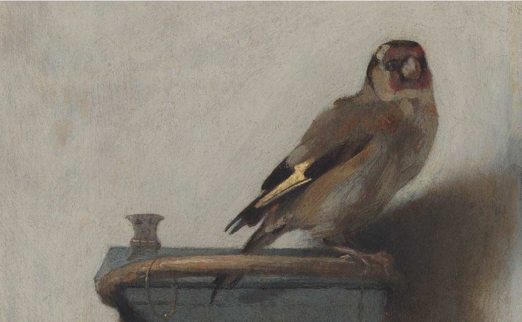 Birds: The Goldfinch, Birds, Art, and Us