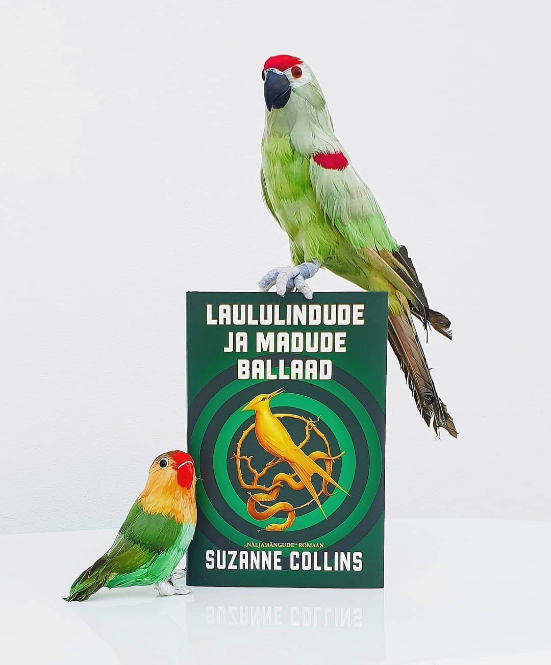 LAULULINDUDE JA MADUDE BALLAAD