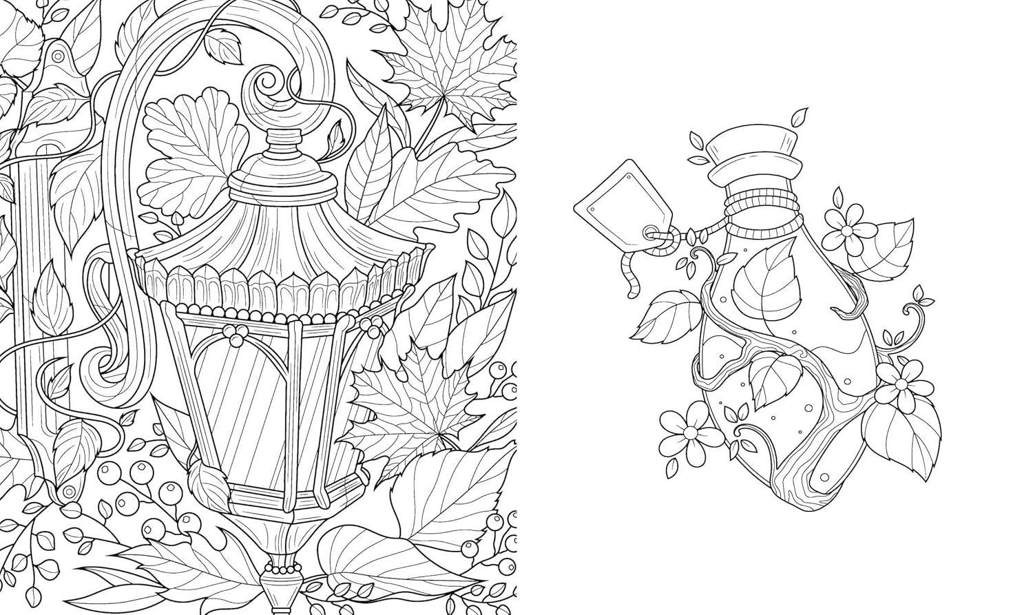 Dark Academia Coloring Book