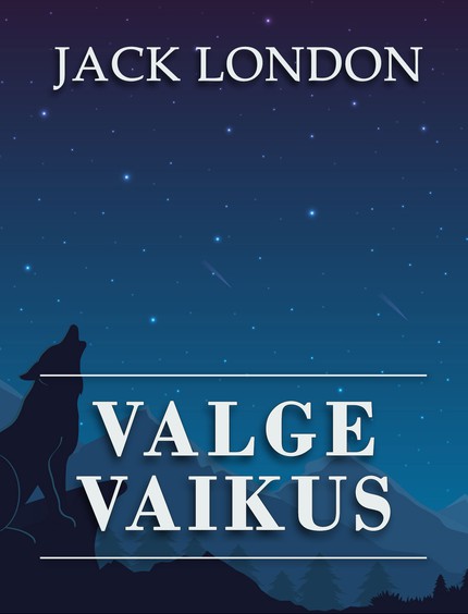 E-raamat: Valge vaikus