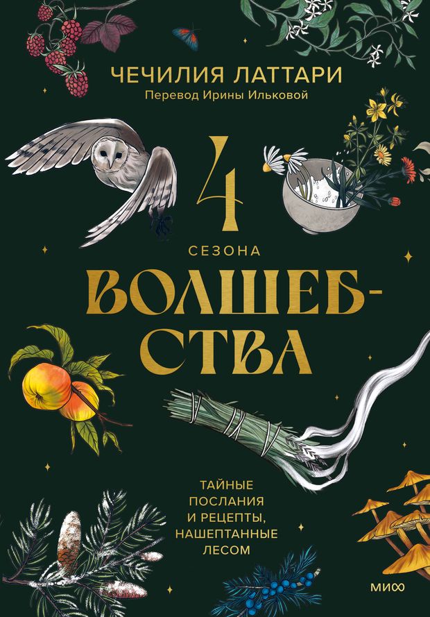 Четыре сезона волшебства. Тайные послания и рецепты, нашептанные лесом