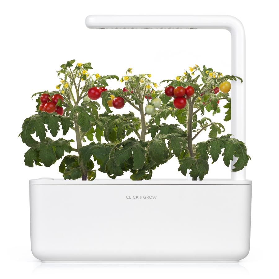 CLICK & GROW: 3 TAIMEKASSETTI, KIRSSTOMAT