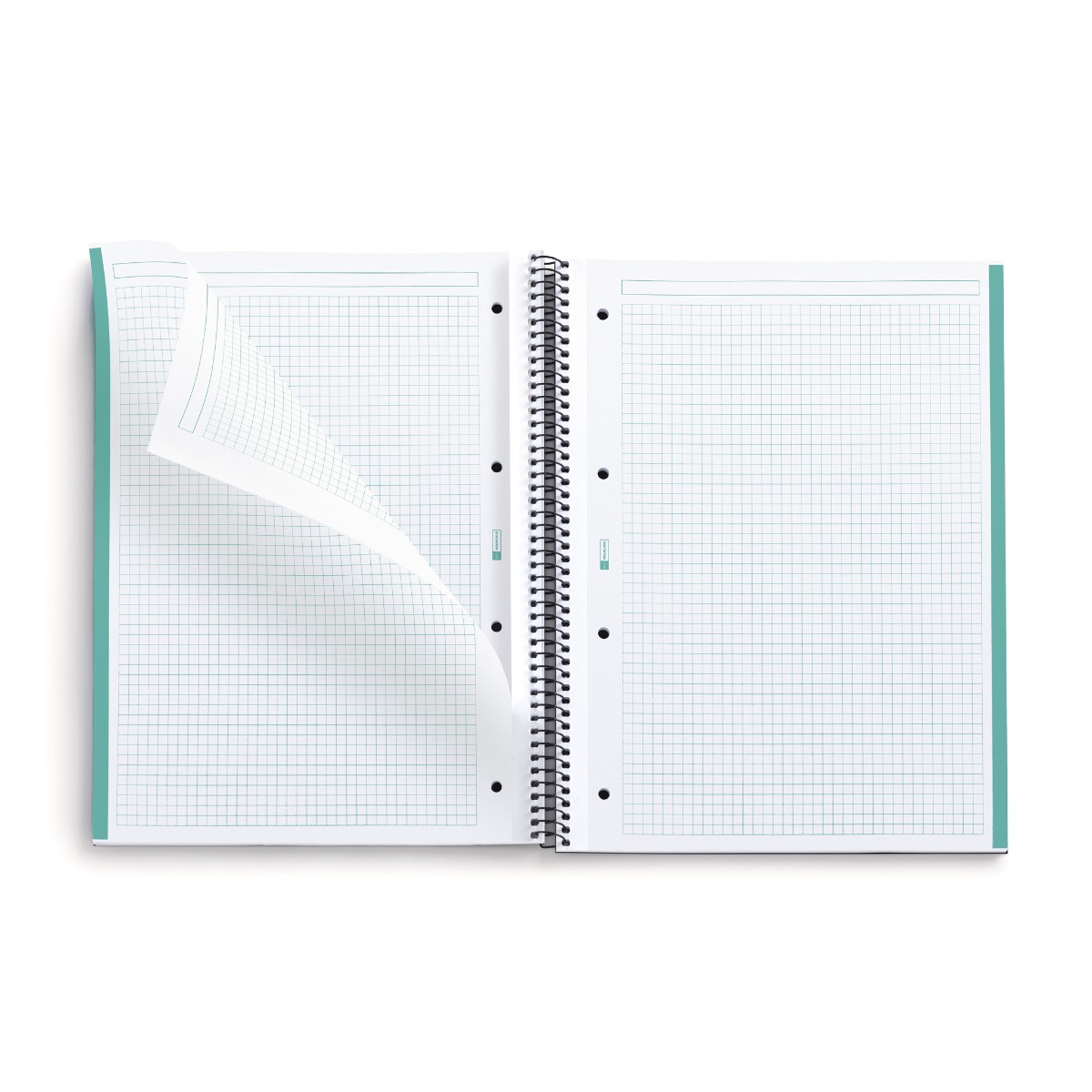 Kaustik A4 80l 5x5 ruut spiraal 4-ne augustus, kartong kaanega CALM AQUA Miquelrius