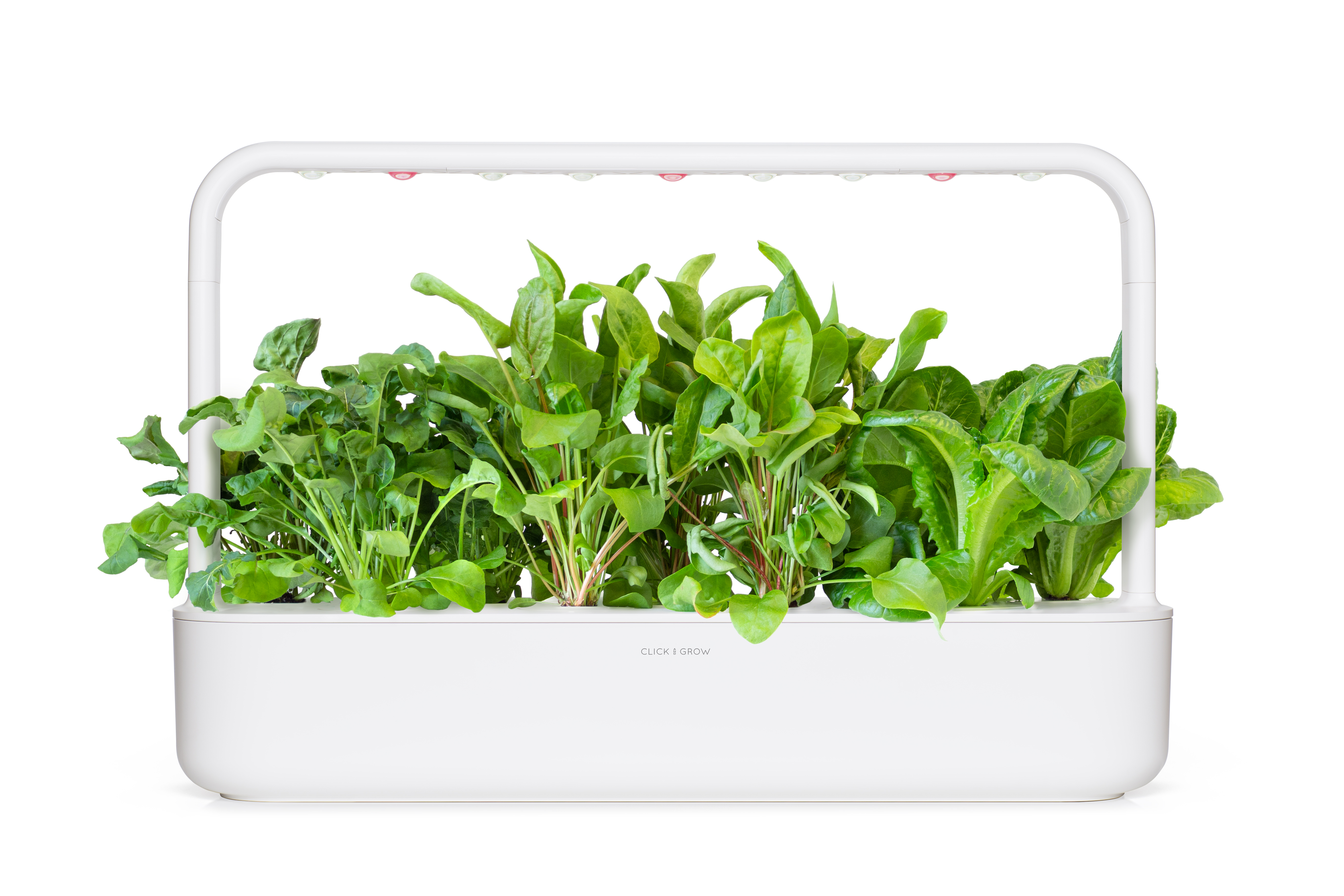 Click & Grow: 9 taimekassetti, salatitaimede segu