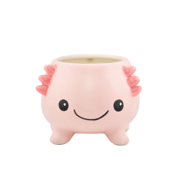 Kruus Axolotl