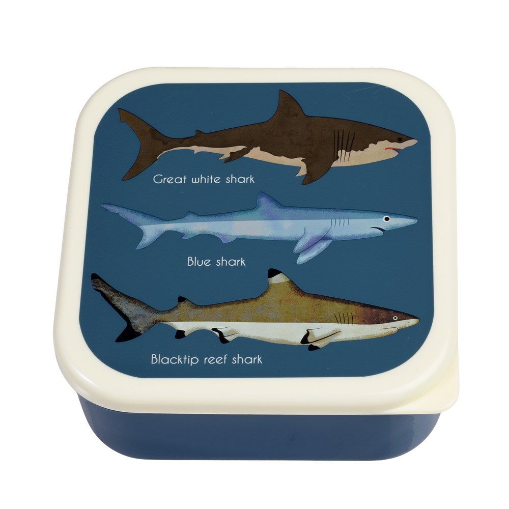 LÕUNASÖÖGIKARPIDE KOMPLEKT SHARKS, 3TK