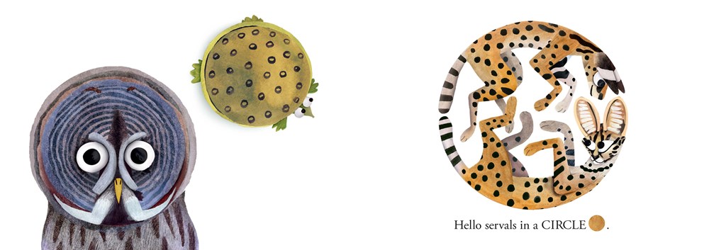Hello Hello Shapes - Brendan Wenzel