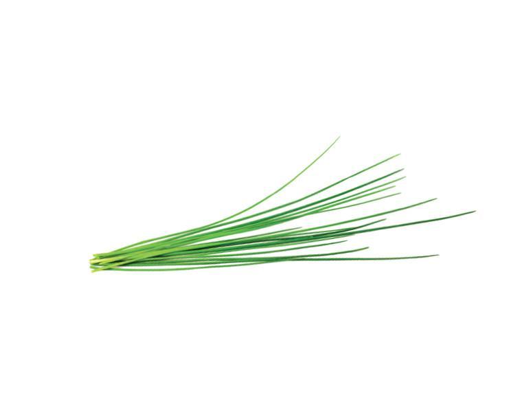 CLICK & GROW: 3 TAIMEKASSETTI, MURULAUK