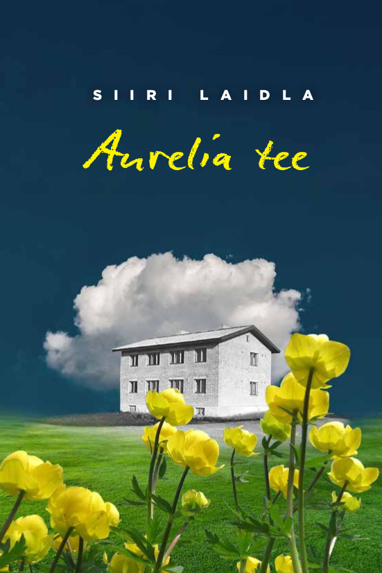 E-raamat: Aurelia tee