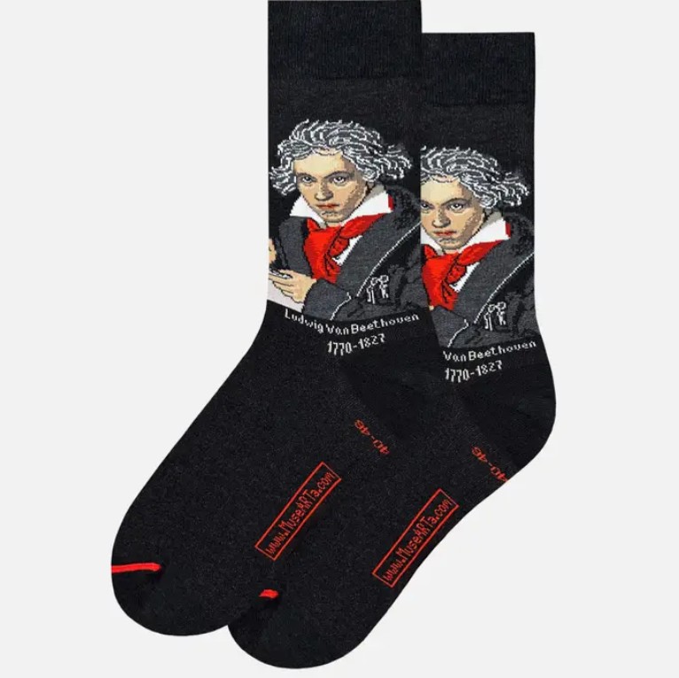 Sokid Ludwig van Beethoven Colour, 40-46