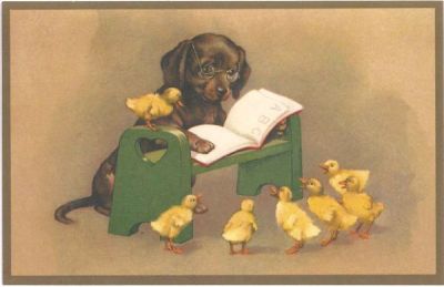 POSTKAART DOG READS FOR DUCK