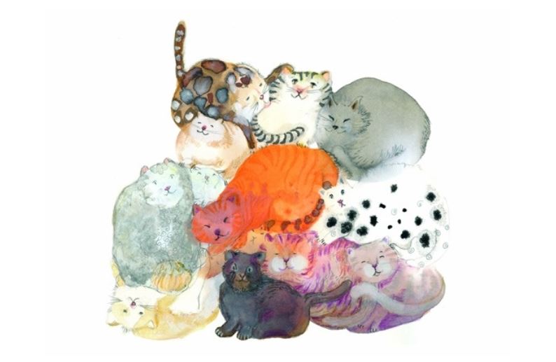 Õnnitluskaart Fluff Bundle