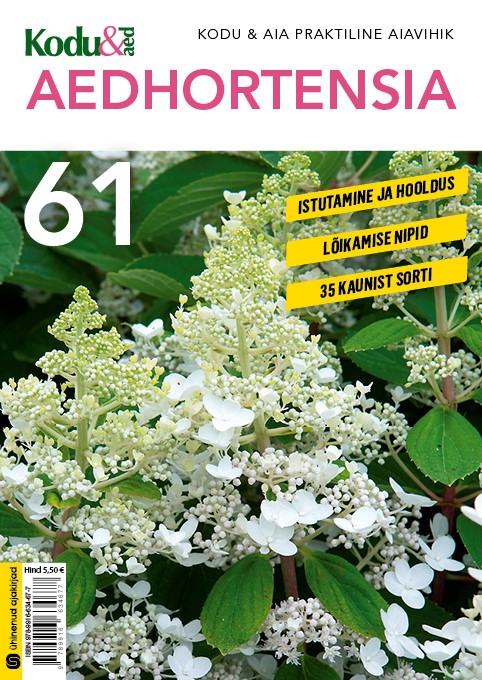 AEDHORTENSIA. KODU & AIA PRAKTILINE AIAVIHIK 61