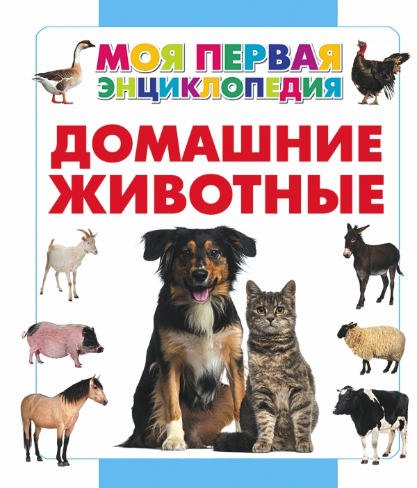 ДОМАШНИЕ ЖИВОТНЫЕ. МОЯ ПЕРВАЯ ЭНЦИКЛОПЕДИЯ - Анна Спектор