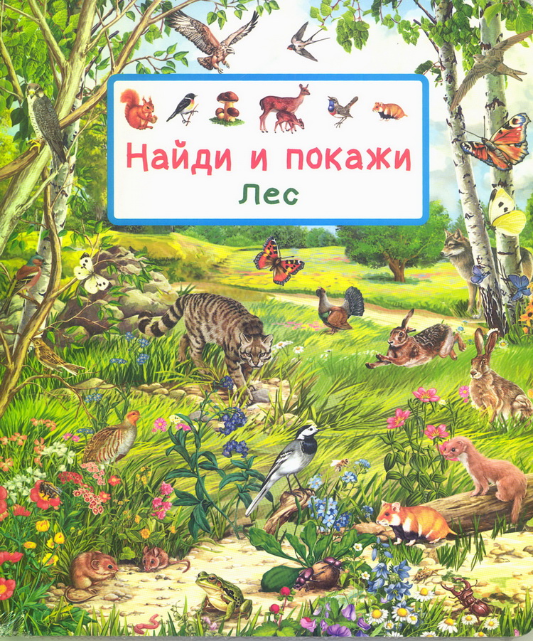  Лес