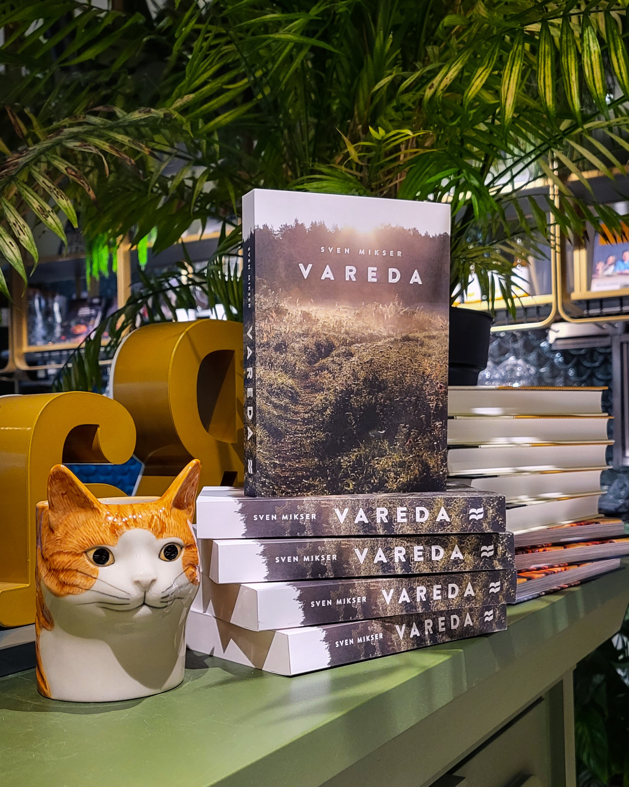 Vareda