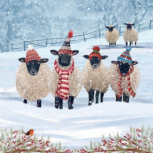 Lauasalvrätikud Warm Winter Woolies, 20 tk
