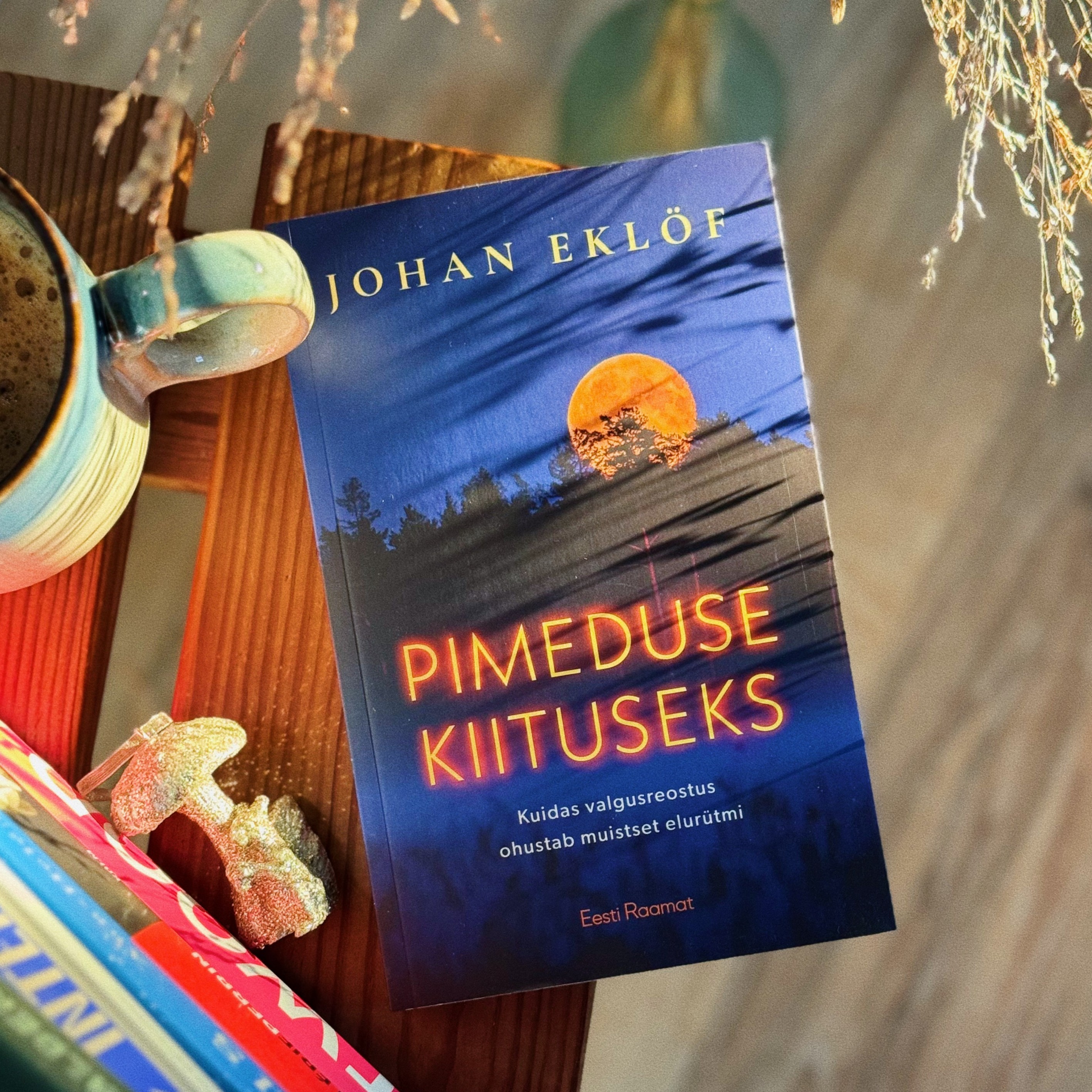Pimeduse kiituseks