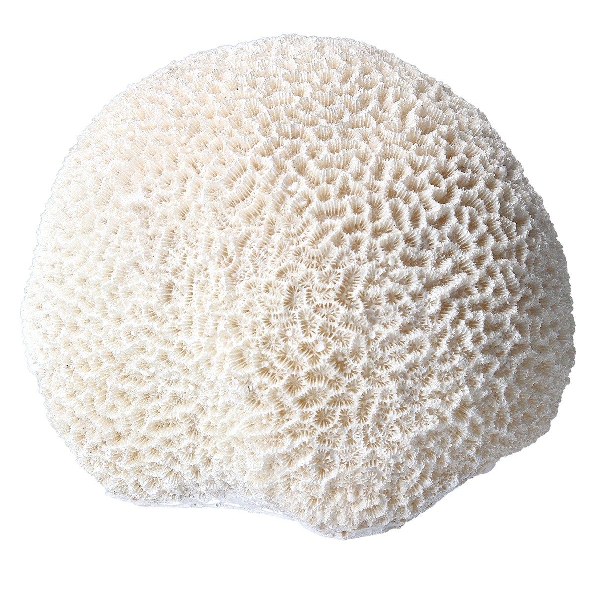 Dekoratiivkuju Coral Ball, 15cm