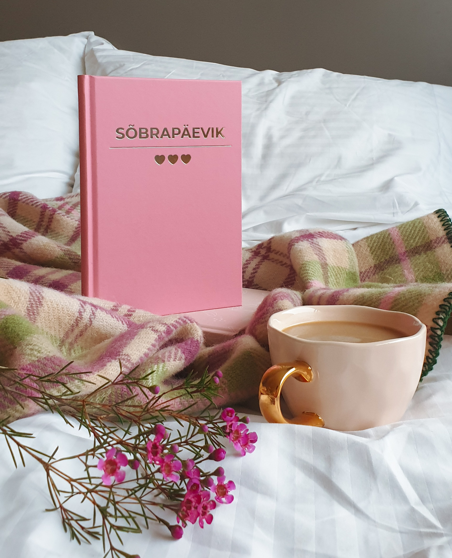 Sõbrapäevik