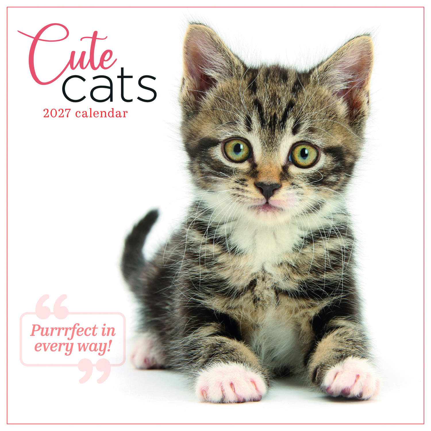 2027 seinakalender Cute Cats