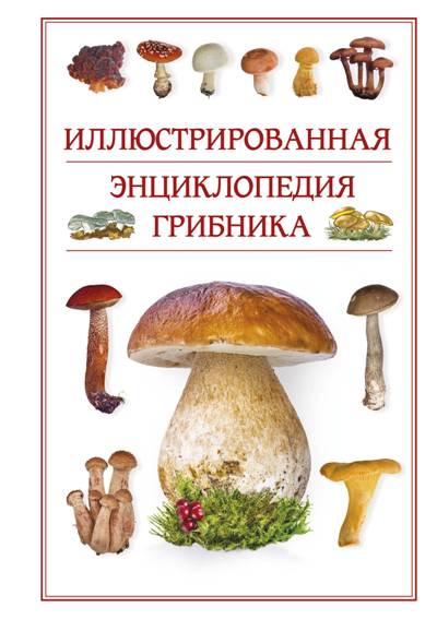 ИЛЛЮСТРИРОВАННАЯ ЭНЦИКЛОПЕДИЯ ГРИБНИКА - Андрей Поленов