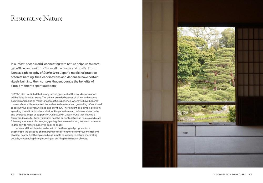 Japandi Home