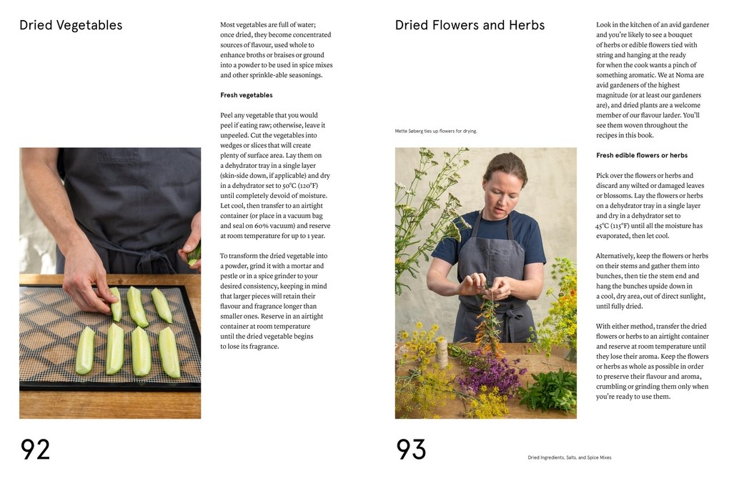 Noma Guide to Building Flavour - Rene Redzepi