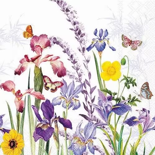 Lauasalvrätikud Iris Garden, 20tk