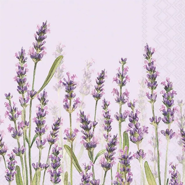 Lauasalvrätikud Lavender Shades, lilla, 20tk