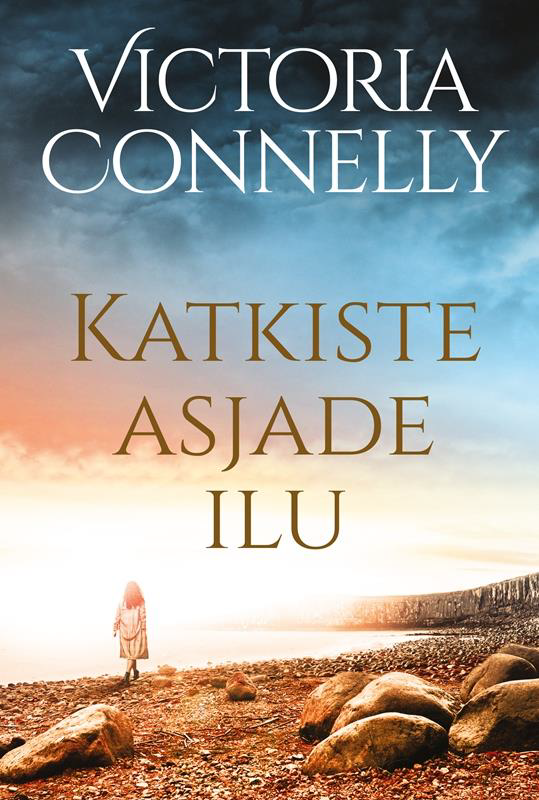 Katkiste asjade ilu