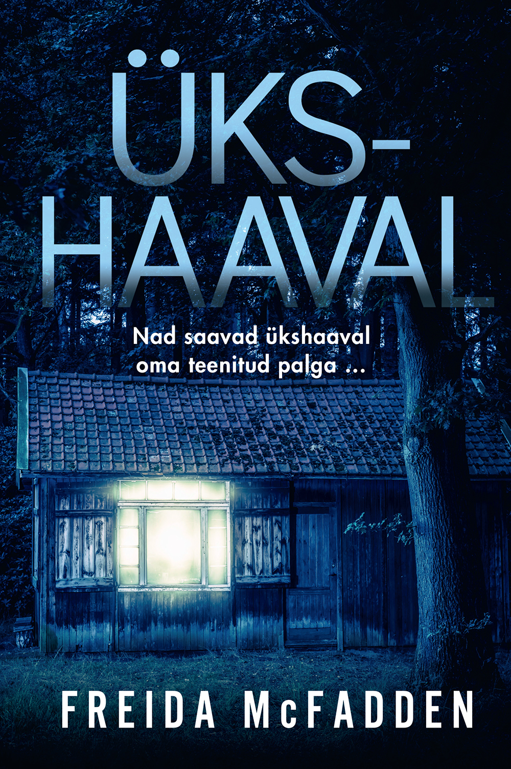 E-raamat: Ükshaaval