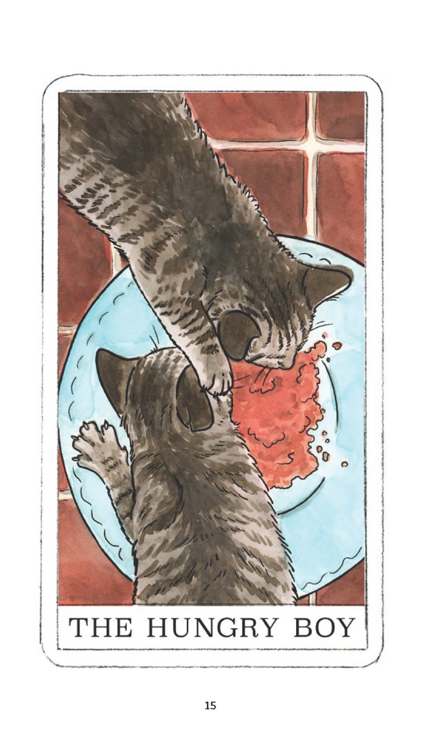 Kitten Oracle: 50 Cards & Guidebook - Megan Lynn Kott