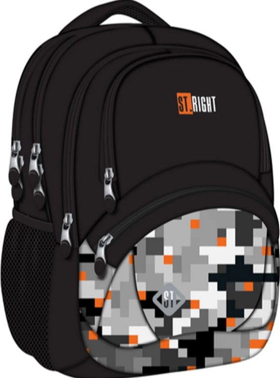 Seljakott Pixels
