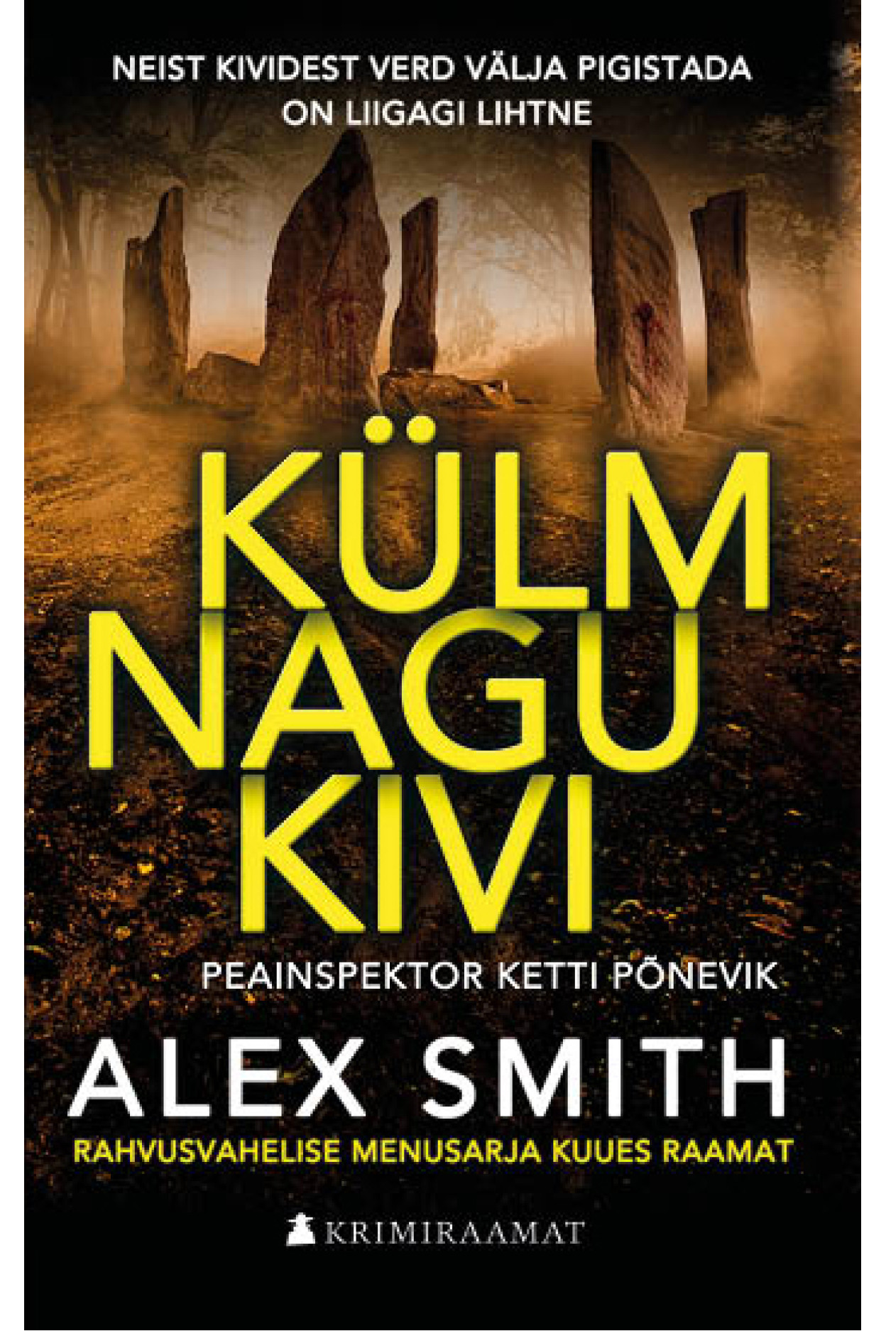 E-raamat: Külm nagu kivi
