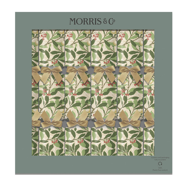 Paukkompvek Morris & Co Arbutus, 33cm, 6tk