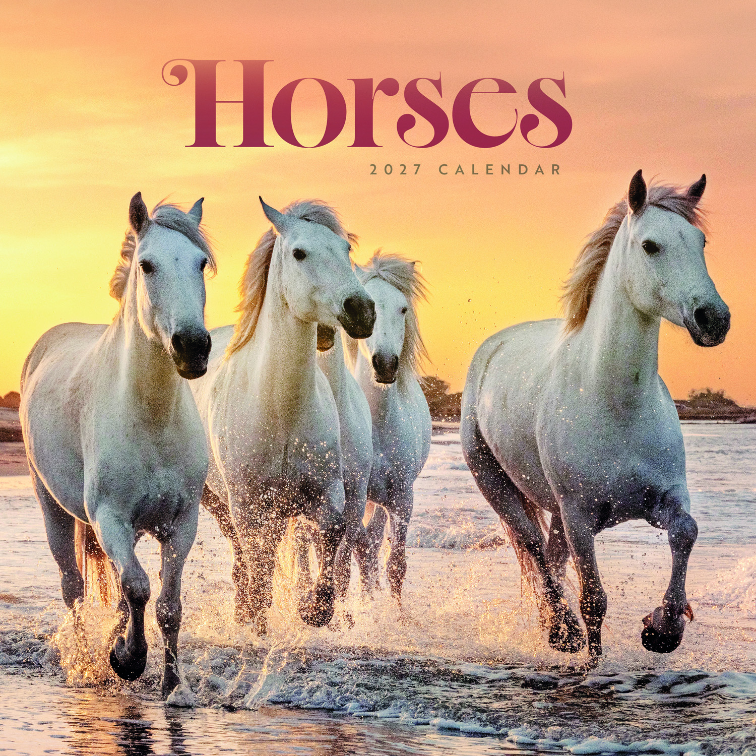 2027 seinakalender Horses Wiro Wall