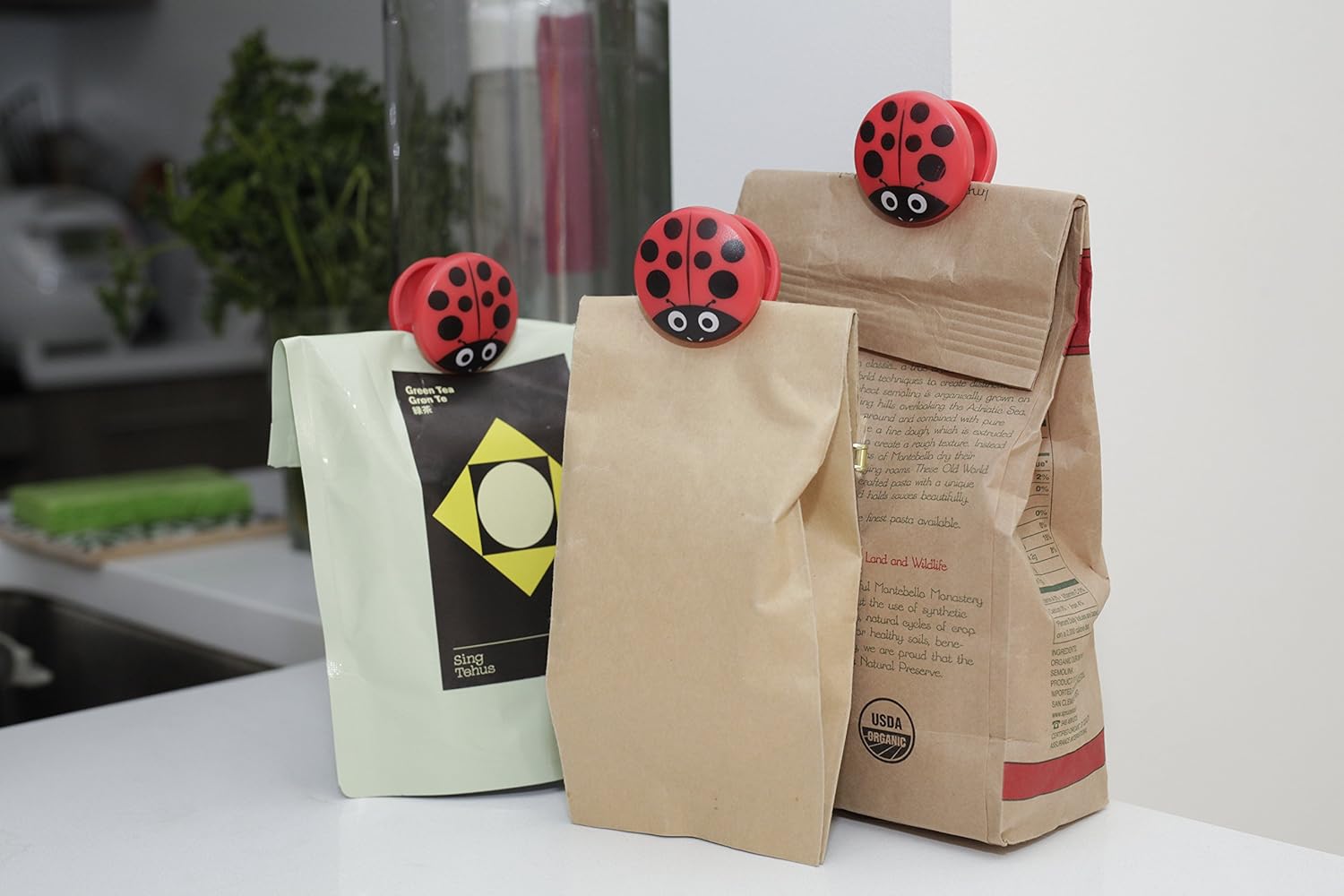 Kotiklambrid ladybug, 6tk