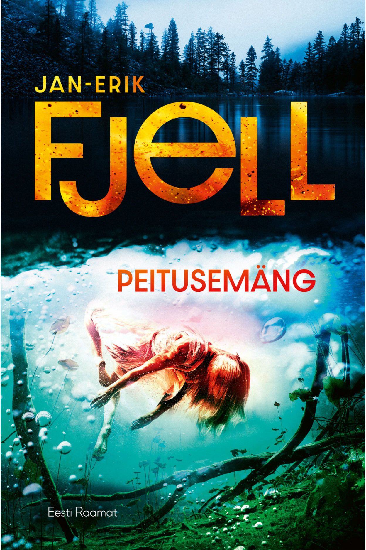 E-raamat: Peitusemäng