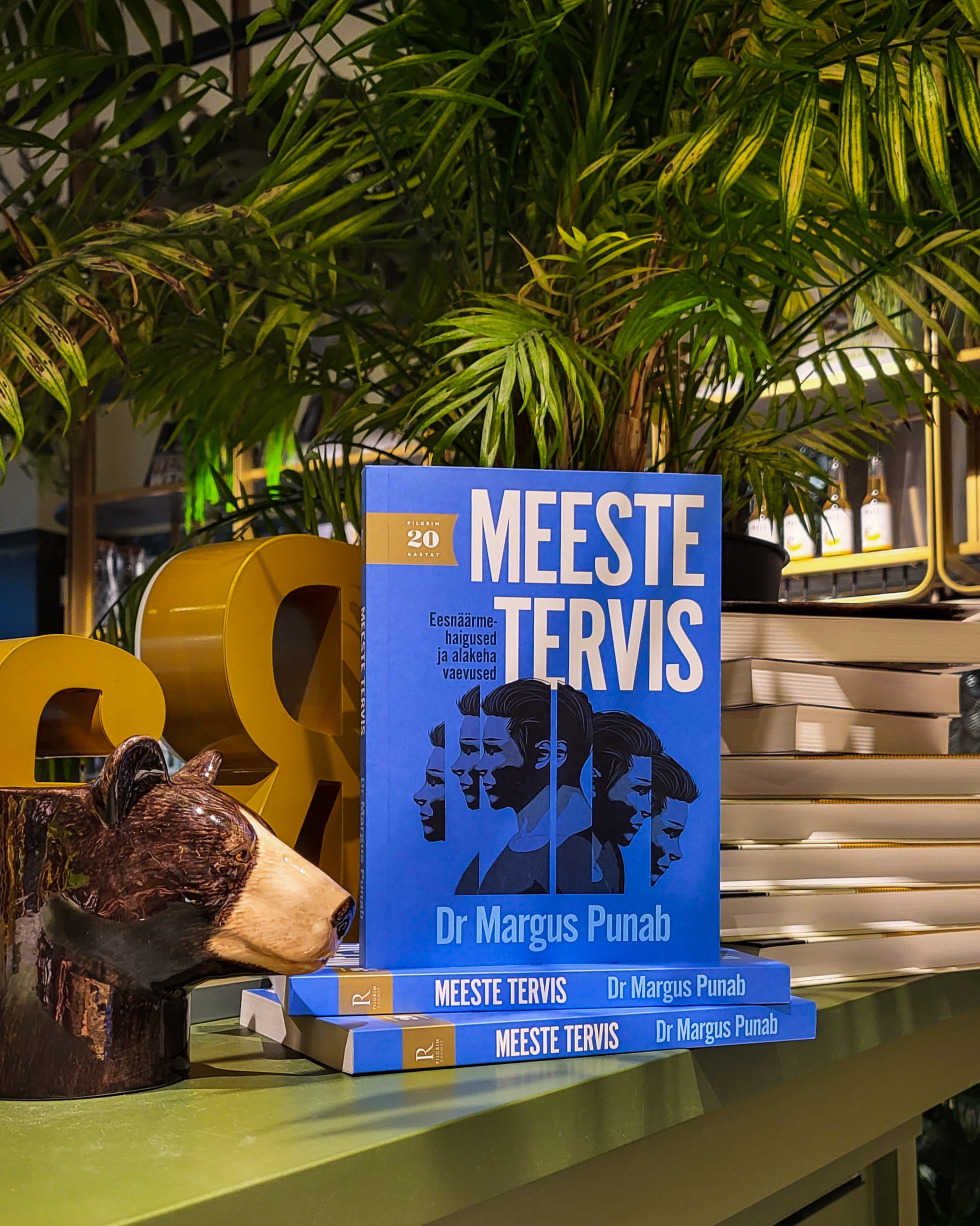 Meeste tervis