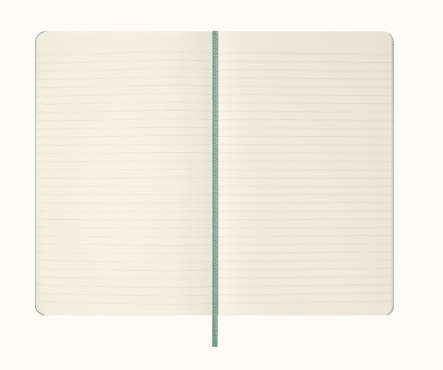 Moleskine notebook Large Ruled Hard Cover, Sage Green