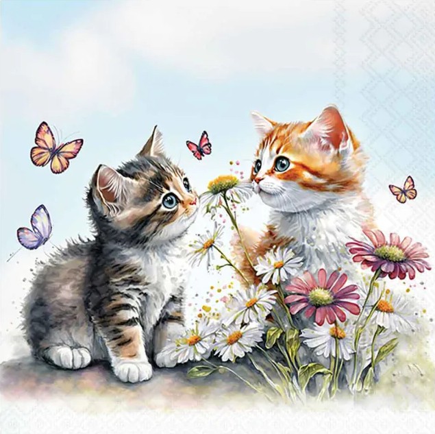 Lauasalvrätikud Kittens in Flowerfield, 20tk