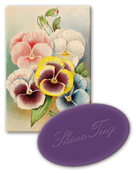 Miniseep Violet 25g