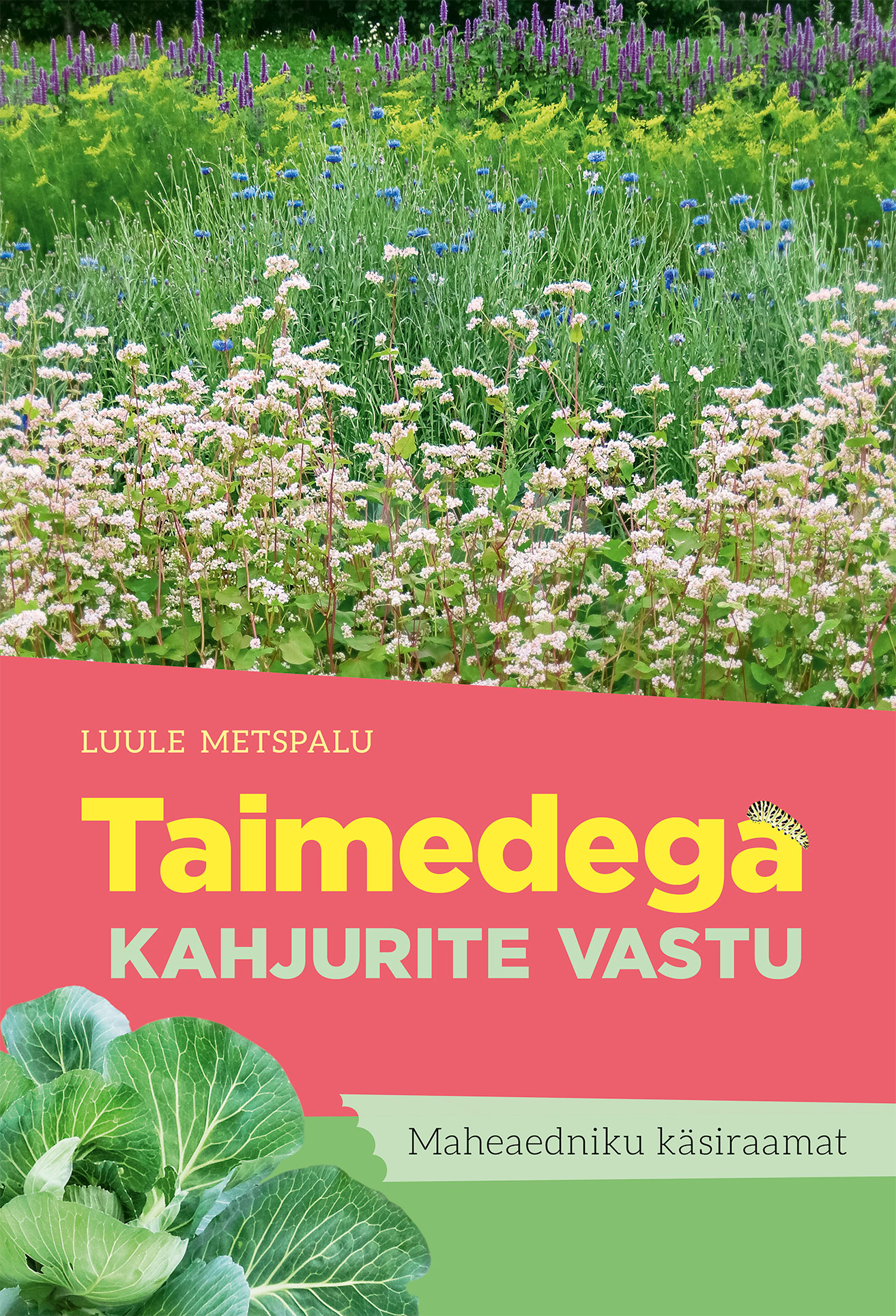 TAIMEDEGA KAHJURITE VASTU