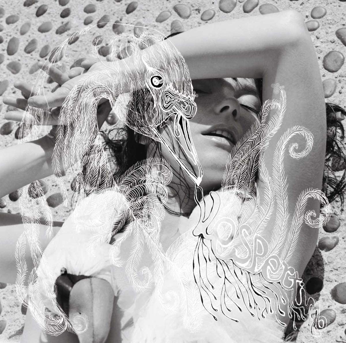 Björk - Vespertine (2001) 2Lp