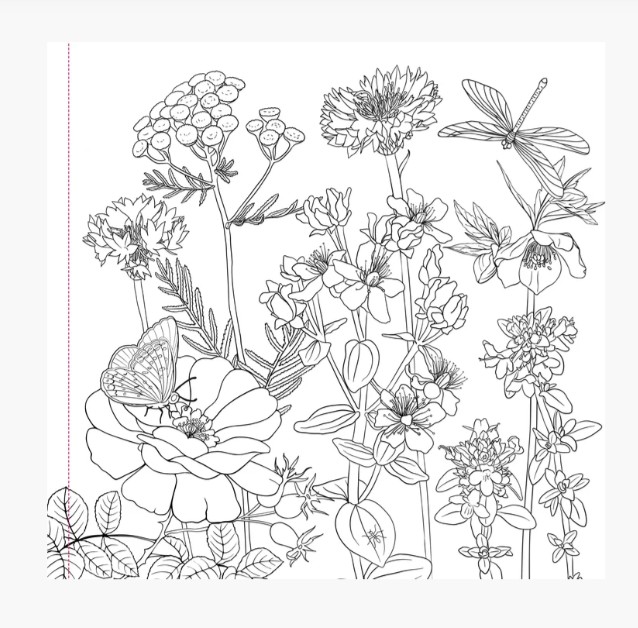 Värviraamat Wildflowers