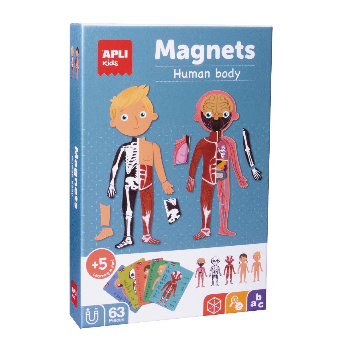 Magnetmäng Inimese keha, alus 28x18 cm + 63 magnet, Apli 5+