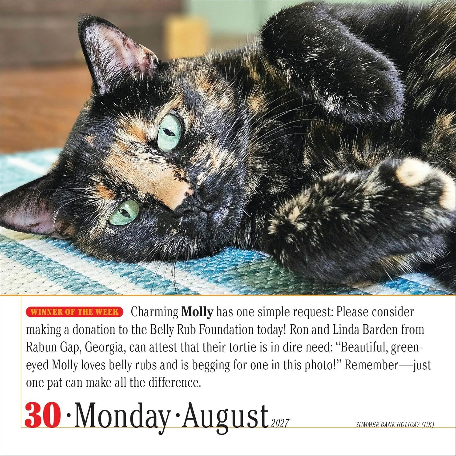 2027 lauakalender 365 Cats (Page-A-Day)