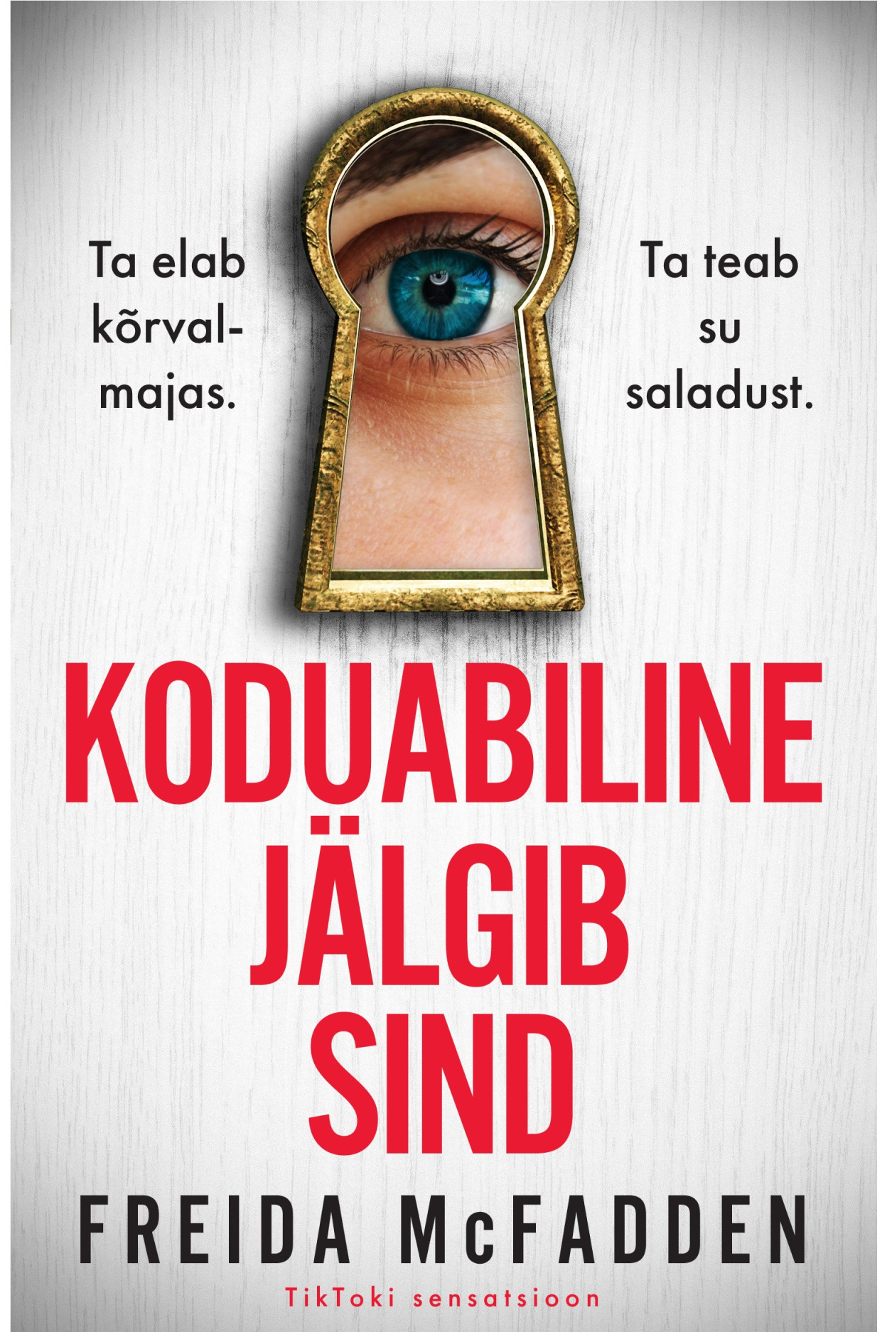 E-raamat: Koduabiline jälgib sind